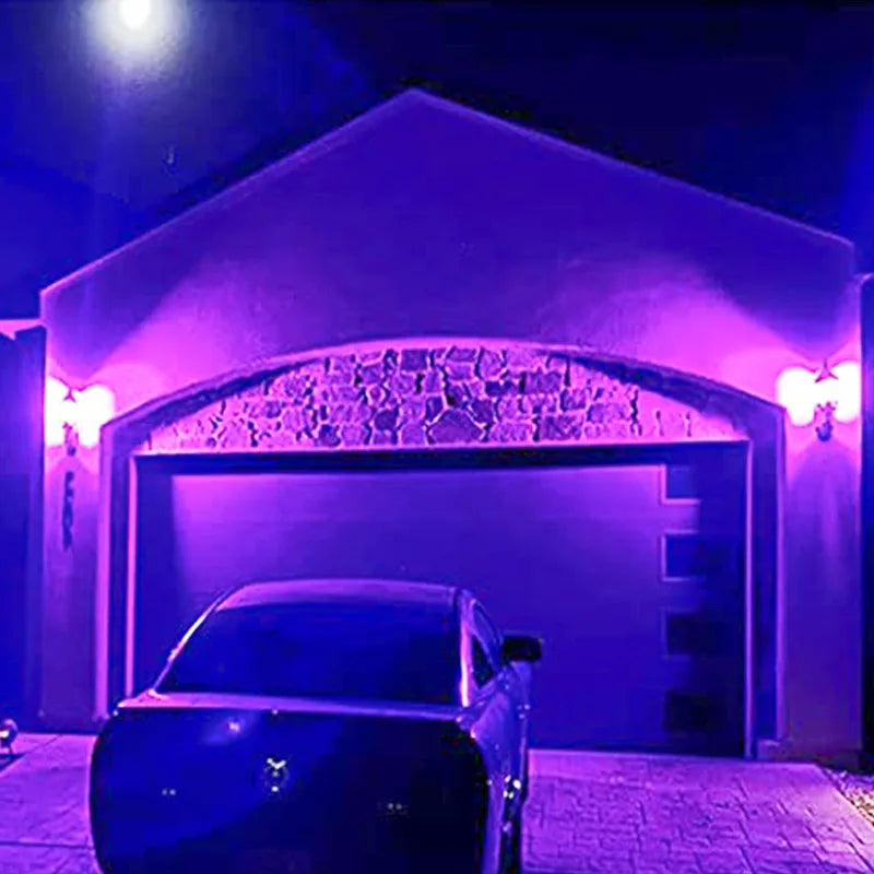 Doodad Co. UV Blacklight Bulb — E27 Fit, Glow-in-the-Dark Party Effect