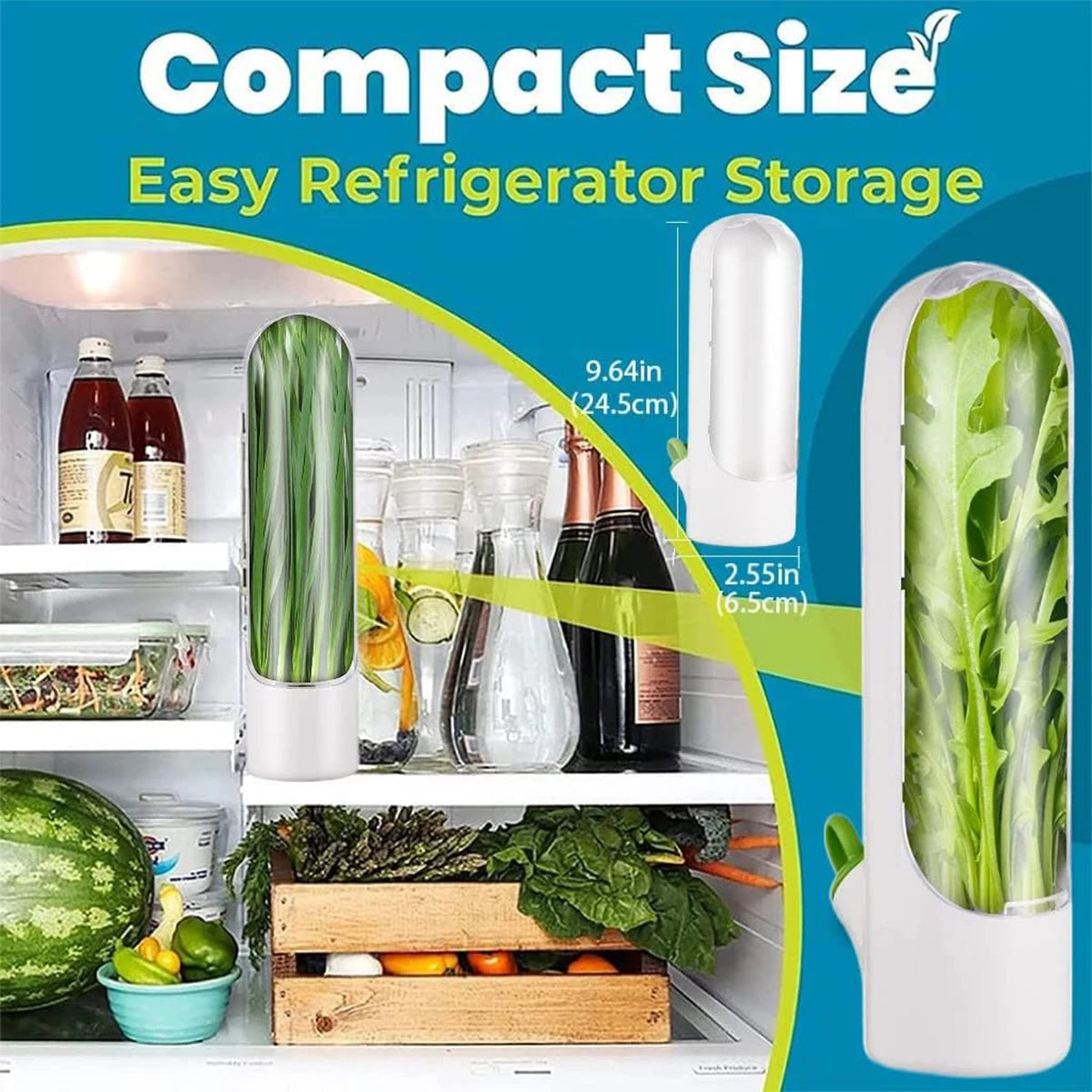 Doodad Co. Herb Saver Container — Fridge Storage, Extends Freshness