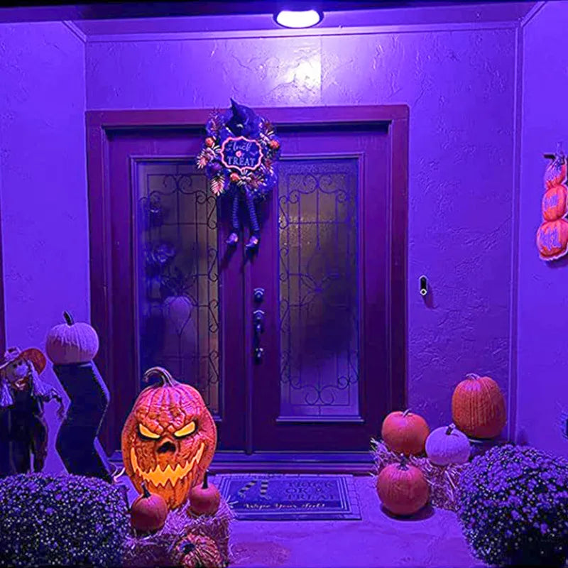 Doodad Co. UV Blacklight Bulb — E27 Fit, Glow-in-the-Dark Party Effect