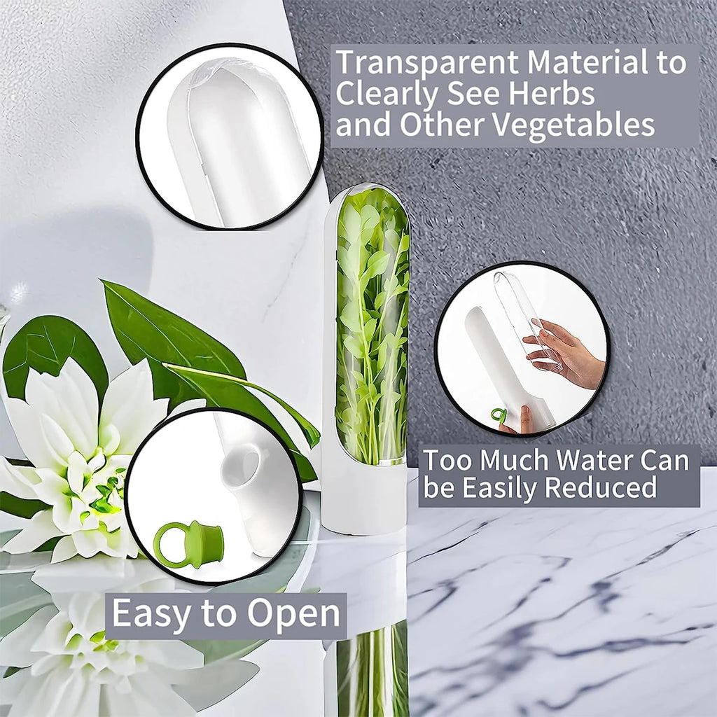 Doodad Co. Herb Saver Container — Fridge Storage, Extends Freshness