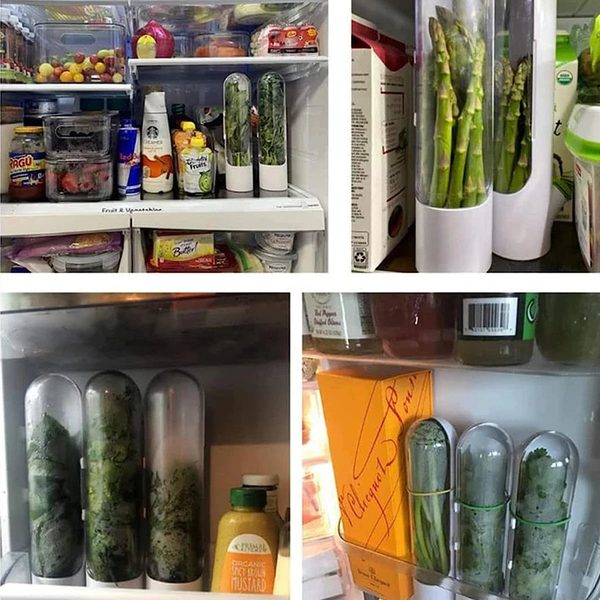 Doodad Co. Herb Saver Container — Fridge Storage, Extends Freshness