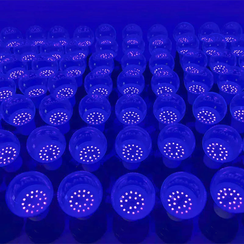 Doodad Co. UV Blacklight Bulb — E27 Fit, Glow-in-the-Dark Party Effect