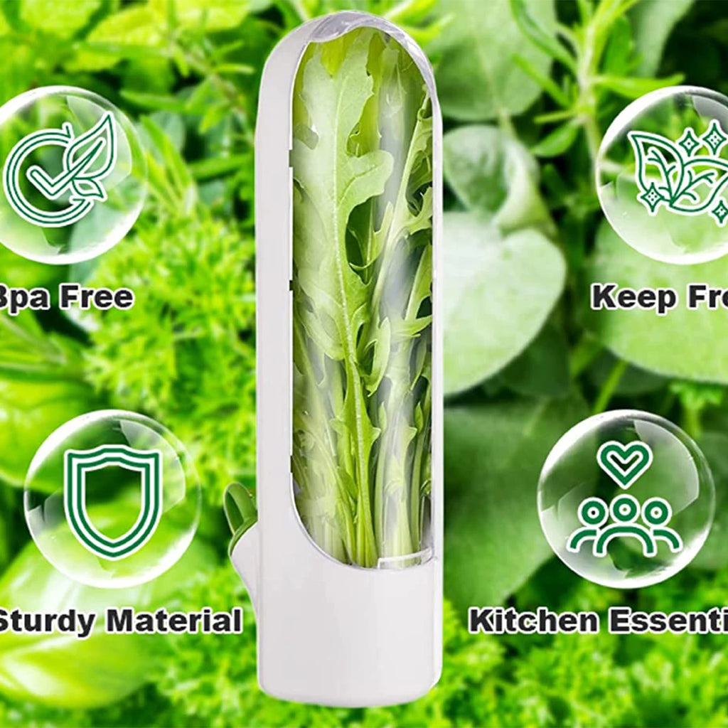 Doodad Co. Herb Saver Container — Fridge Storage, Extends Freshness